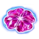 icon 10