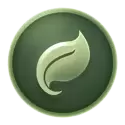 icon 2