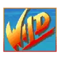 icon 4