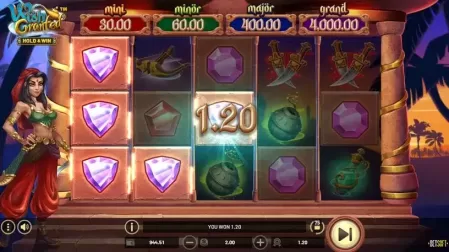 Wish Granted slot screenshot 4