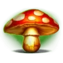 icon 5