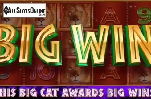 Big win screen. African Adventure from Incredible Technologies