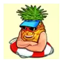 icon 4