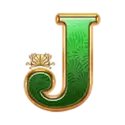 icon 8
