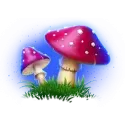 icon 6