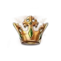 icon 5