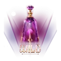 icon 1