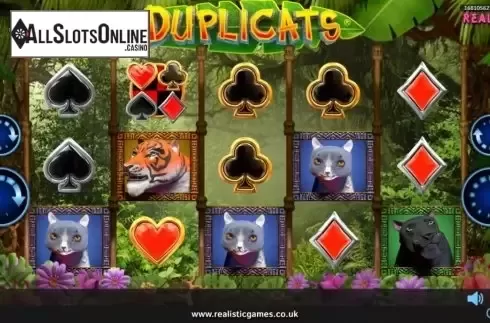 Reel Screen. Duplicats from Realistic