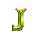 icon 8