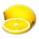 icon 5