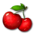 icon 7