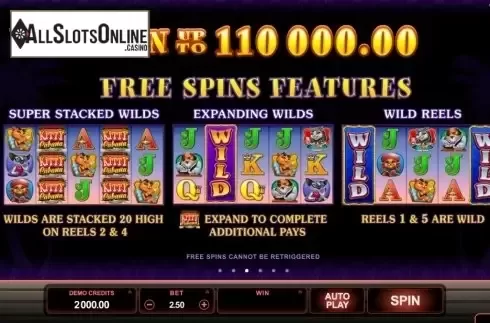 Screen4. Kitty Cabana from Microgaming