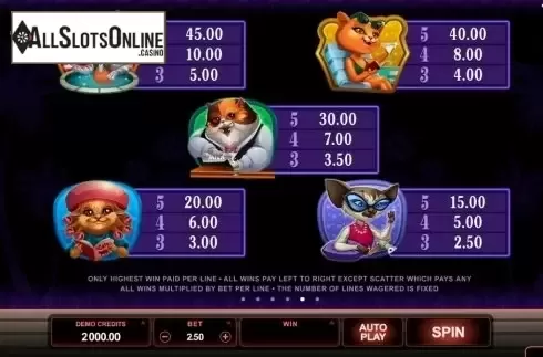 Screen6. Kitty Cabana from Microgaming