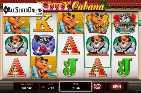 Screen9. Kitty Cabana from Microgaming