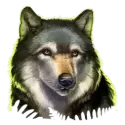 icon 3