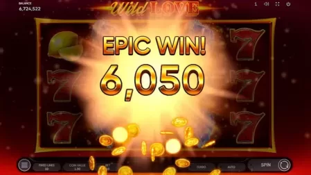 Wild Love slot screenshot 7