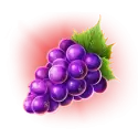 icon 4