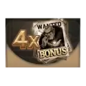 Bonus Buy Free Spins