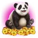 icon 3