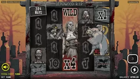 Deadwood R.I.P slot screenshot 4