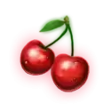 icon 11