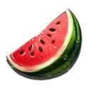 icon 5