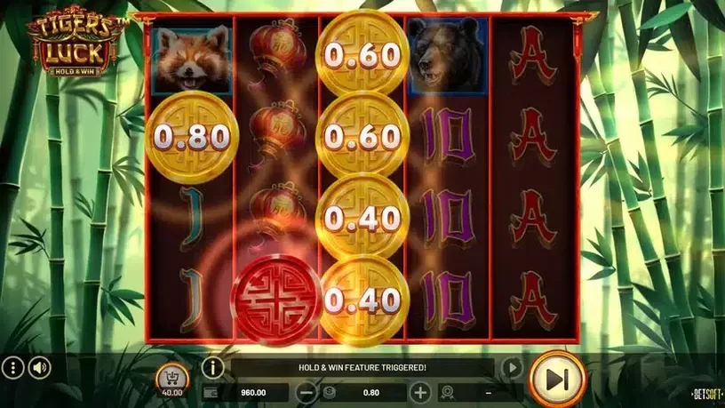 Tiger's Luck slot screenshot 4