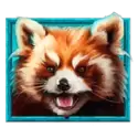 icon 4