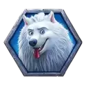 icon 4