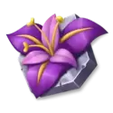 icon 5