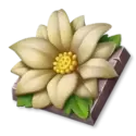 icon 4
