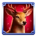 icon 2