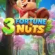 3 Fortune Nuts
