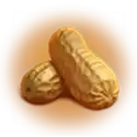 icon 5