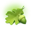 icon 4
