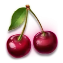 icon 9