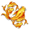 icon 7