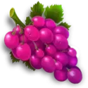 icon 3