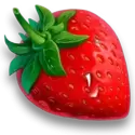 icon 4