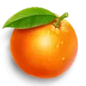 icon 6