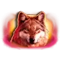 icon 4