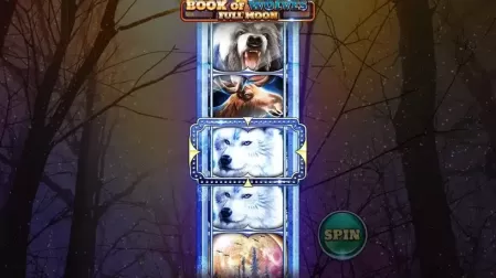 Book Of Wolves – Full Moon slot screenshot 4