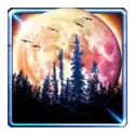 icon 2