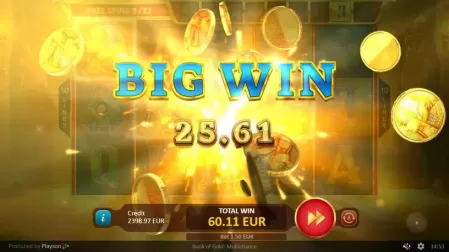 Book of Gold Multichance slot screenshot 1