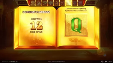 Book of Gold Multichance slot screenshot 8