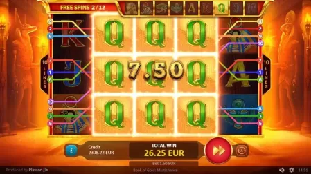 Book of Gold Multichance slot screenshot 4