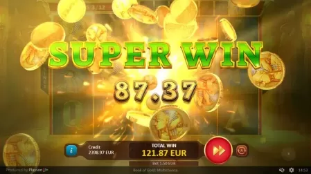 Book of Gold Multichance slot screenshot 9