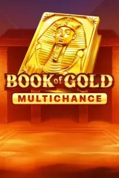 Book of Gold Multichance