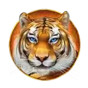 icon 6