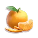 icon 5